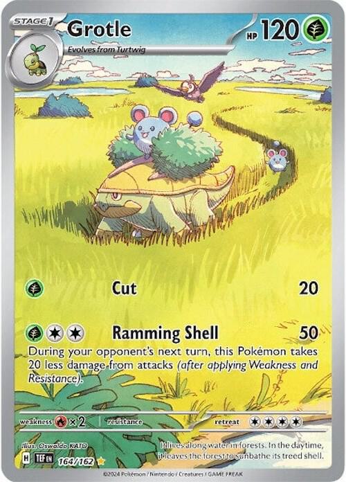 Grotle 164/162 NM