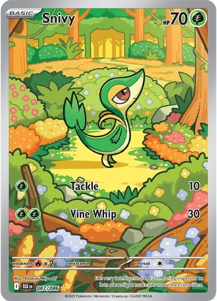 Snivy 087/086 NM