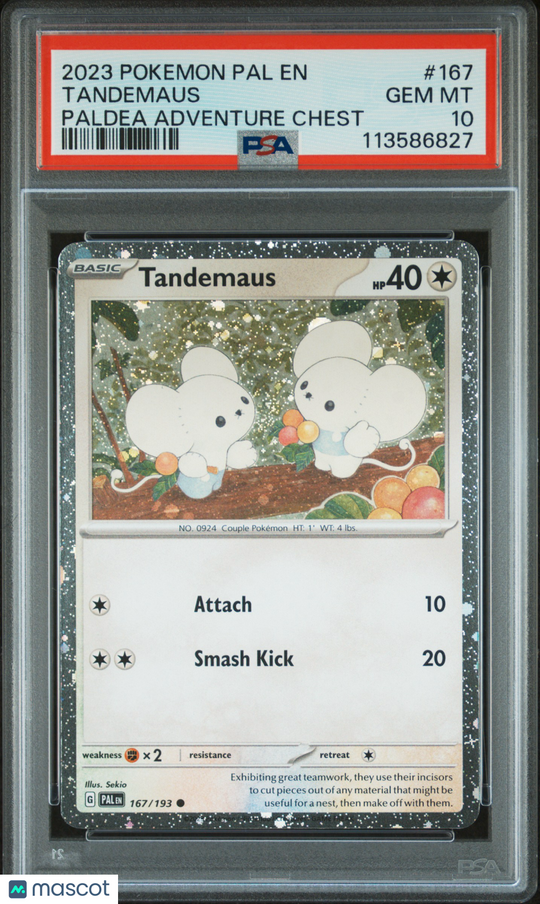 Tandemaus #167 2023 Pokemon Pal EN-Paldea Evolved PSA 10